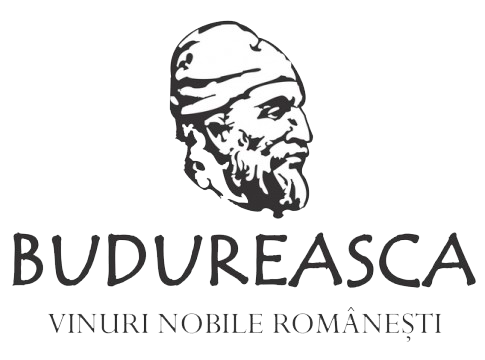 Budureasca - Romanian Wine Romanian Red Wine | Originals Wine House